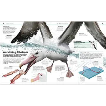 Knowledge Encyclopedia Ocean! Perfect Early Learning Resource