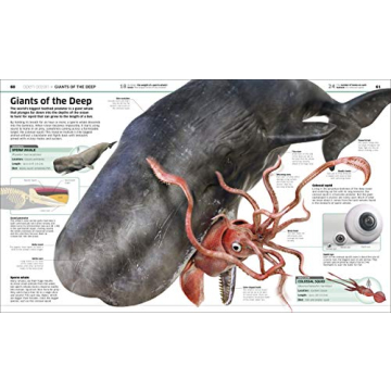 Knowledge Encyclopedia Ocean! Perfect Early Learning Resource