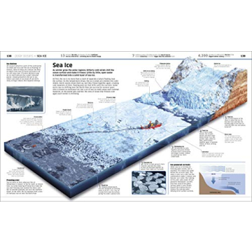 Knowledge Encyclopedia Ocean! Perfect Early Learning Resource