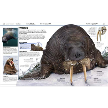 Knowledge Encyclopedia Ocean! Perfect Early Learning Resource