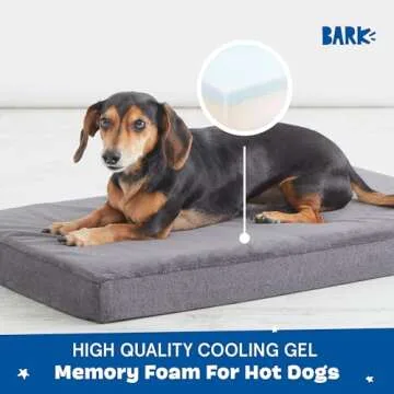 Barkbox Orthopedic Dog Bed with Memory Foam, Premium Comfort for Dogs and Puppies, Dog Beds for Joint Relief and Restful Sleep, Durable and Easy to Clean - Grey, Medium