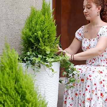 Stylish Worth Garden 21" Tall Planters - Durable & Elegant