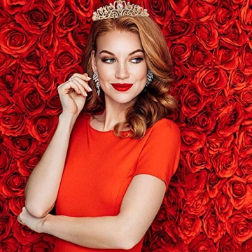 Didder Gold Crystal Tiara Crown Elegant Bridal Party Headband