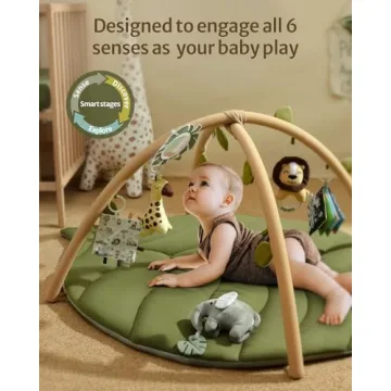 Blissful Diary Baby Play Gym & Activity Mat for Newborns