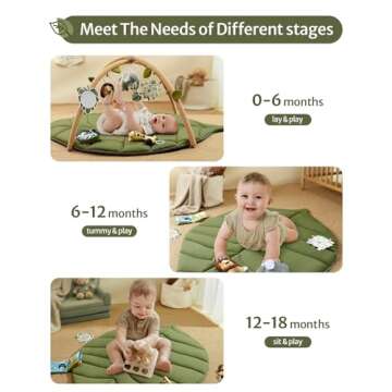 Blissful Diary Baby Play Gym & Activity Mat for Newborns