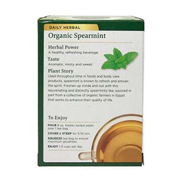 Organic Spearmint Herbal Tea - Fair Trade Certified - 16 ct