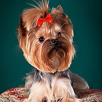 Fashionable 300pcs Small Dog Hair Bows for Grooming