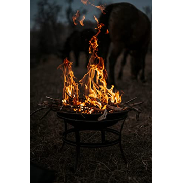 Gas One 22 in Portable Fire Pit for Outdoor Gatherings