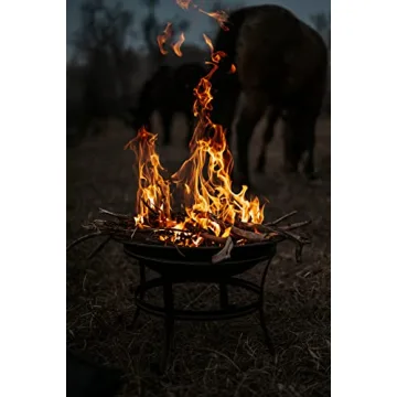 Gas One 22 in Portable Fire Pit for Outdoor Gatherings