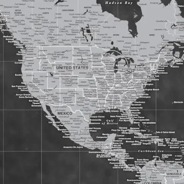 Personalized Holy Cow Canvas World Map with Pins for Travelers