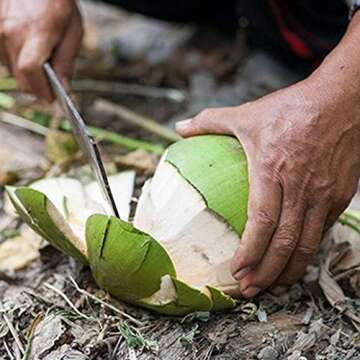 Taste Nirvana Coconut Water 16.2 oz Cans - Natural Refreshment