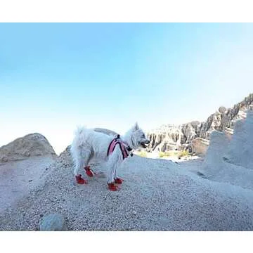 YAODHAOD Dog Shoes for Small Dogs, Anti-Slip Dogs Boots & Paw Protector for Winter Snowy Day, Summer Hot Pavement Dog Booties with Reflective Straps, Cat Dog Shoe for Indoor Hardfloors (Red,6)