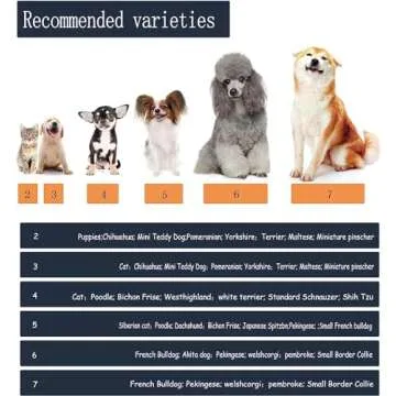 YAODHAOD Dog Shoes for Small Dogs, Anti-Slip Dogs Boots & Paw Protector for Winter Snowy Day, Summer Hot Pavement Dog Booties with Reflective Straps, Cat Dog Shoe for Indoor Hardfloors (Red,6)