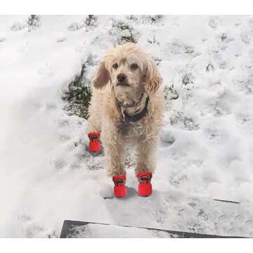 YAODHAOD Dog Shoes for Small Dogs, Anti-Slip Dogs Boots & Paw Protector for Winter Snowy Day, Summer Hot Pavement Dog Booties with Reflective Straps, Cat Dog Shoe for Indoor Hardfloors (Red,6)