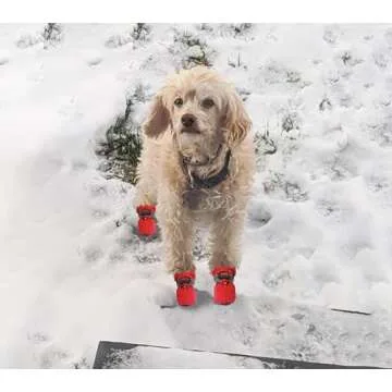 YAODHAOD Dog Shoes for Small Dogs, Anti-Slip Dogs Boots & Paw Protector for Winter Snowy Day, Summer Hot Pavement Dog Booties with Reflective Straps, Cat Dog Shoe for Indoor Hardfloors (Red,6)