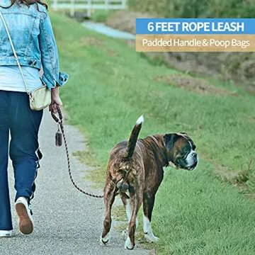 BAAPET 6FT Dog Leash with Padded Handle and Reflective Threads