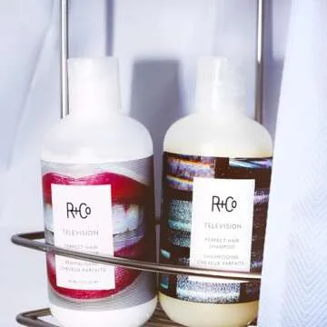 R+Co Television Perfect Hair Shampoo + Conditioner + Cool Wind pH Deluxe Sample | Body + Shine + Smoothing for All Hair Types | Vegan + Cruelty-Free | 8.5 Oz (set of 2)+ .5 Oz Deluxe Sample
