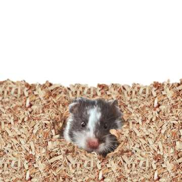 Kaytee Aspen Small Animal Pet Bedding For Pet Guinea Pigs, Rabbits, Hamsters, Gerbils, and Chinchillas, 52.4 Liters