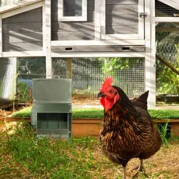 Rural365 25lb Capacity Galvanized Chicken Feeder Weatherproof Coop Dispenser