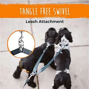 Mighty Paw Double Dog Leash for Tangle-Free Walks
