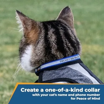 Personalized Reflective Cat Collar with Engraving