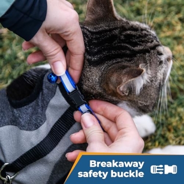 Personalized Reflective Cat Collar with Engraving