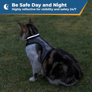 Personalized Reflective Cat Collar with Engraving