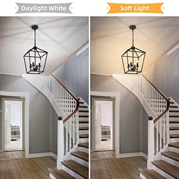 Black 4 Light Chandelier: Adjustable Rustic Lantern