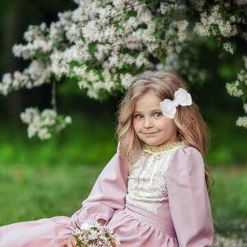 3.5-Inch Organza Hair Bows for Girls - Elegant Sheer Ribbon Alligator Clips for Toddlers, Kids, and ...