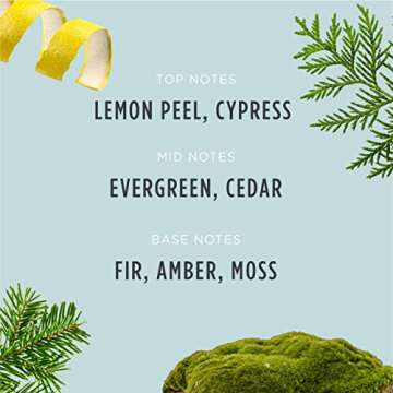 Santa's Naturals Fraser Fir Candle - Eco-Friendly Holiday Scent