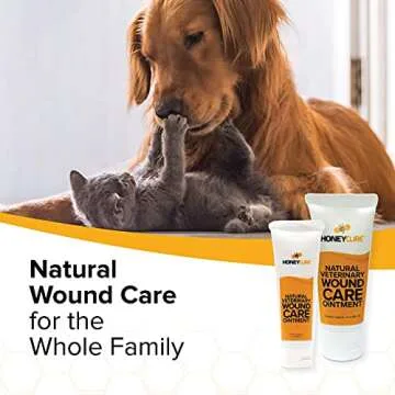 HoneyCure, Natural Veterinary Ointment for Wound Care, Manuka Honey, for Dogs, Cats, & Horses, 1oz. Tube