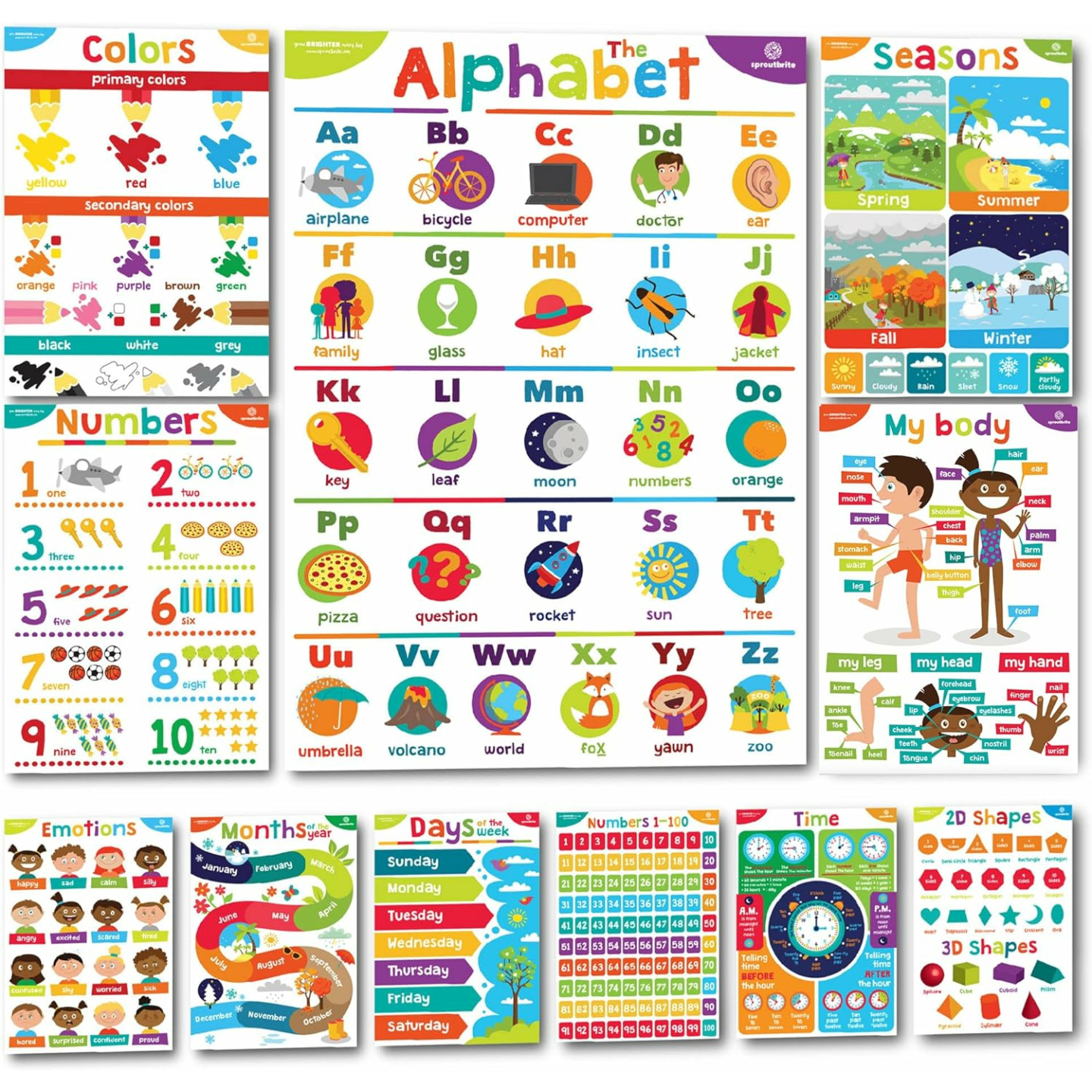 Toddler Educational Posters - Sproutbrite Laminated Charts
