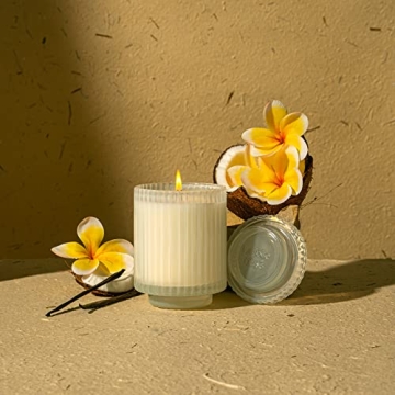 LA JOLIE MUSE Vanilla Coconut Candles for Home Gift