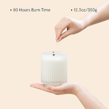 LA JOLIE MUSE Vanilla Coconut Candles for Home Gift