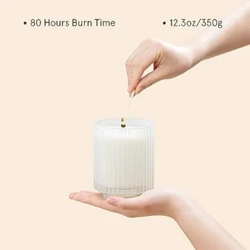 LA JOLIE MUSE Vanilla Coconut Candles for Home Gift