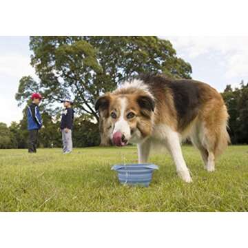 Kurgo Collaps-A-Bowl for Dogs, Collapsible Travel Dog Bowl, Pet Food & Hiking Water Bowl, Food Grade...