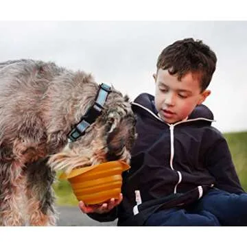 Kurgo Collaps-A-Bowl for Dogs, Collapsible Travel Dog Bowl, Pet Food & Hiking Water Bowl, Food Grade Bowl for Dogs, Travel Accessories for Pets, Includes Carabiner (24 oz, Orange)