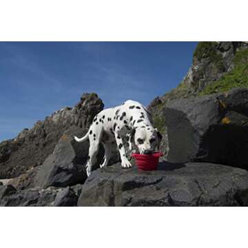 Kurgo Collaps-A-Bowl for Dogs, Collapsible Travel Dog Bowl, Pet Food & Hiking Water Bowl, Food Grade Bowl for Dogs, Travel Accessories for Pets, Includes Carabiner (24 oz, Orange)