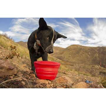 Kurgo Collaps-A-Bowl for Dogs, Collapsible Travel Dog Bowl, Pet Food & Hiking Water Bowl, Food Grade Bowl for Dogs, Travel Accessories for Pets, Includes Carabiner (24 oz, Orange)