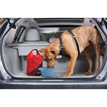 Kurgo Collaps-A-Bowl for Dogs, Collapsible Travel Dog Bowl, Pet Food & Hiking Water Bowl, Food Grade Bowl for Dogs, Travel Accessories for Pets, Includes Carabiner (24 oz, Orange)