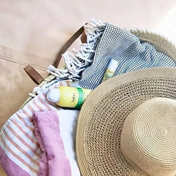 Babo Botanicals Sheer Zinc Spray SPF30 - Family Friendly Sunscreen