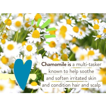 Babo Botanicals Sheer Zinc Spray SPF30 - Family Friendly Sunscreen