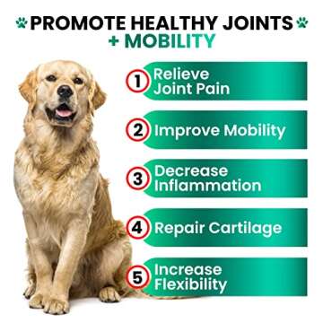 Hemp Hip and Joint Supplement for Dogs - Advanced Glucosamine Treats for Mobility Support