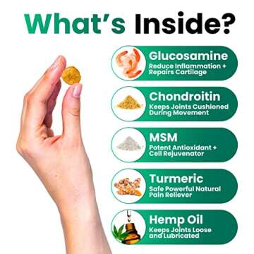 Hemp Hip and Joint Supplement for Dogs - Mobility Chews