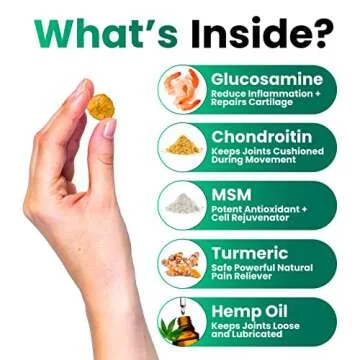 Hemp Hip and Joint Supplement for Dogs - Mobility Chews