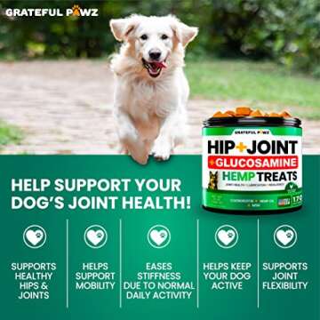 Hemp Hip and Joint Supplement for Dogs - Mobility Chews