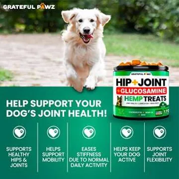 Hemp Hip and Joint Supplement for Dogs - Mobility Chews
