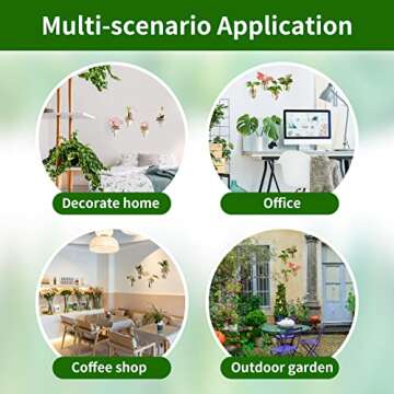 HUSSLEAN Wall Hanging Terrariums – Stylish Plant Propagation