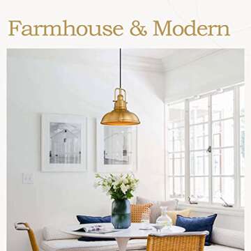 Zeyu Industrial Farmhouse Pendant Lights - 2 Pack