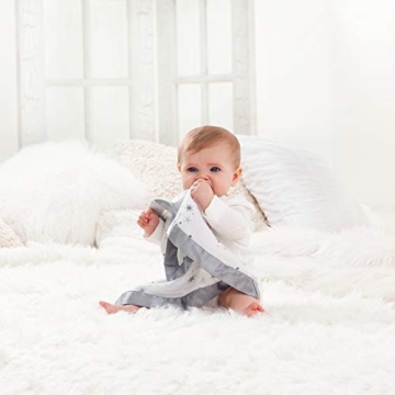 aden + anais Essentials Issie Security Blanket 2 Pack